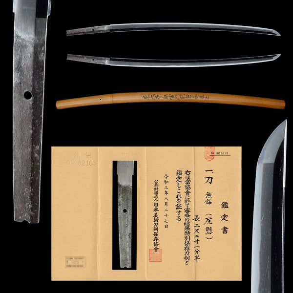 Antique Nihonto Katana Attributed to Shikkake NBTHK TOKUBETSU HOZON TOKEN Certificate | KatanaSwordArt Nihonto For Sale 2025