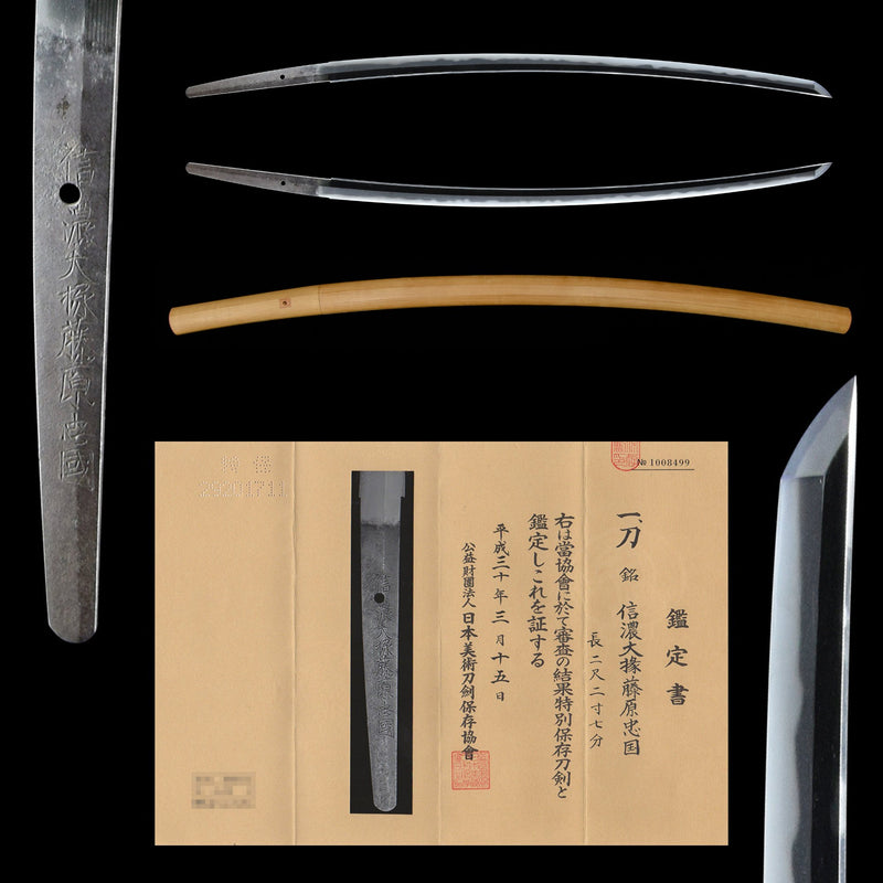 Antique Nihonto Katana Signed by Tadakuni NBTHK TOKUBETSU HOZON TOKEN Certificate | KatanaSwordArt Nihonto For Sale